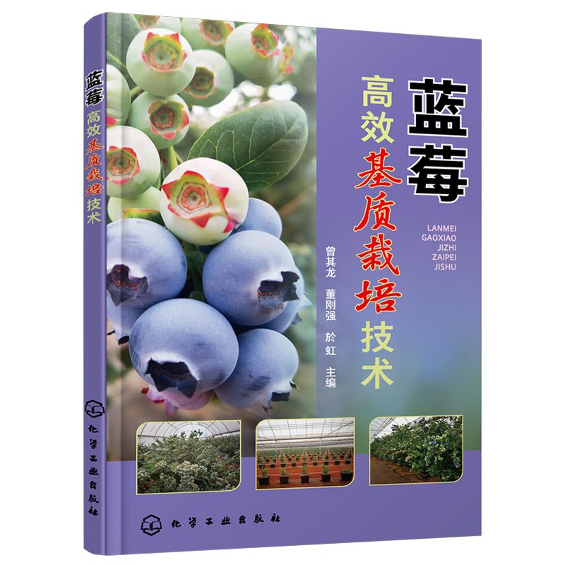 蓝莓高效基质栽培技术