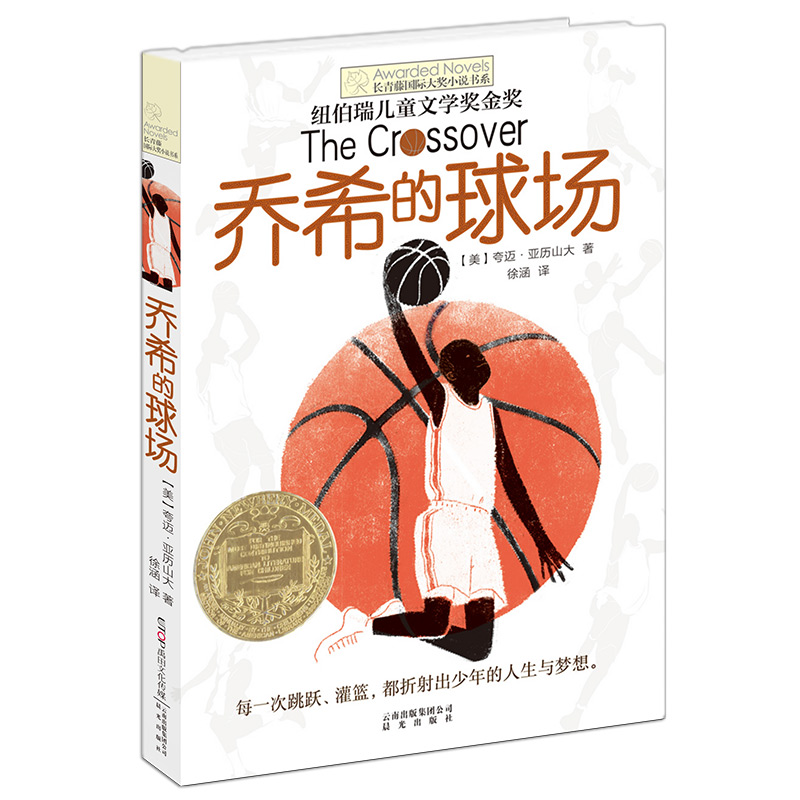 新版 长青藤国际大奖小说书系第六辑:乔希的球场
