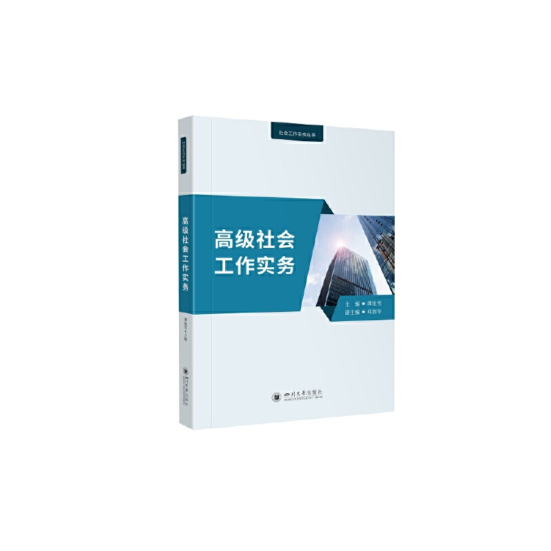 社会工作实务丛书:高级社会工作实务