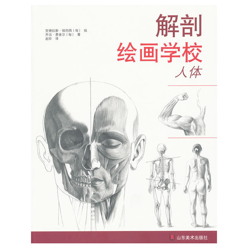 解剖绘画学校人体(九品)