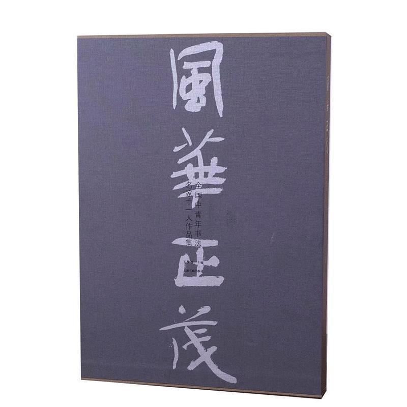 风华正茂:全国中青年书法名家十一人作品集