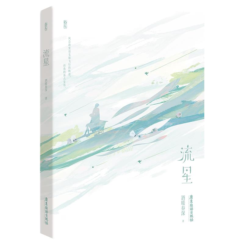 流星