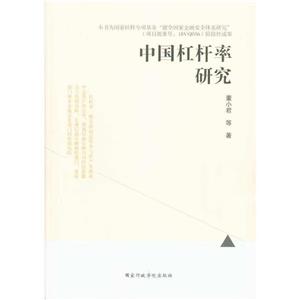 中国杠杆率研究-技术教育社区