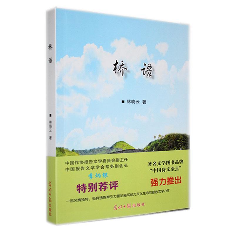 桥语:长篇报告文学