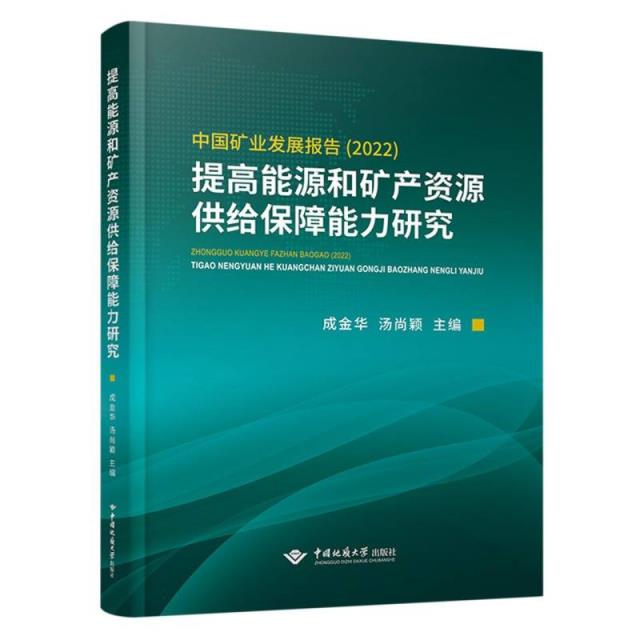 提高能源和矿产资源供给保障能力研究