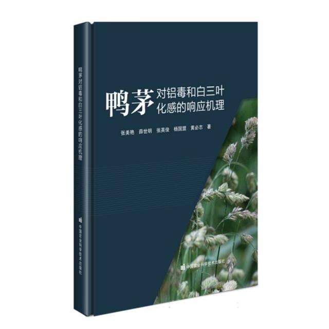 鸭茅对铝毒和白三叶化感的响应机理
