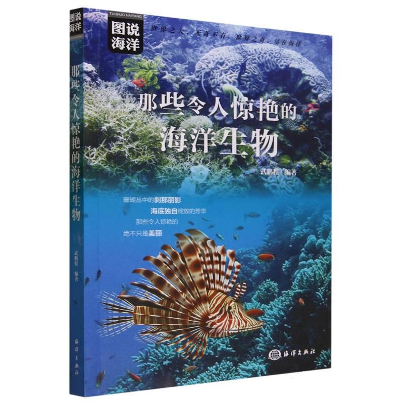 那些令人惊艳的海洋生物