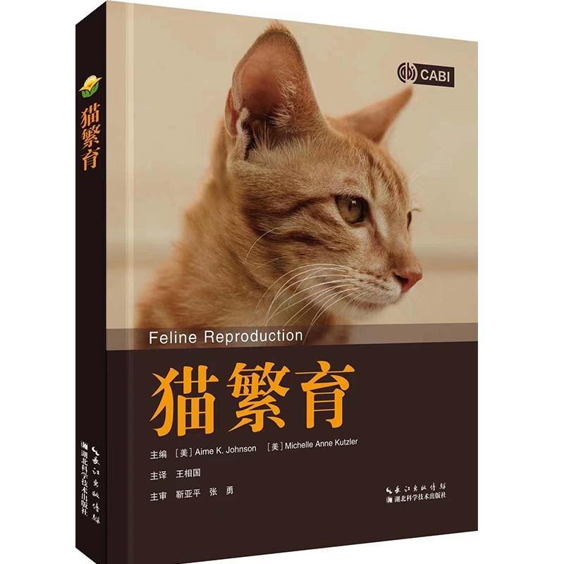 猫繁育