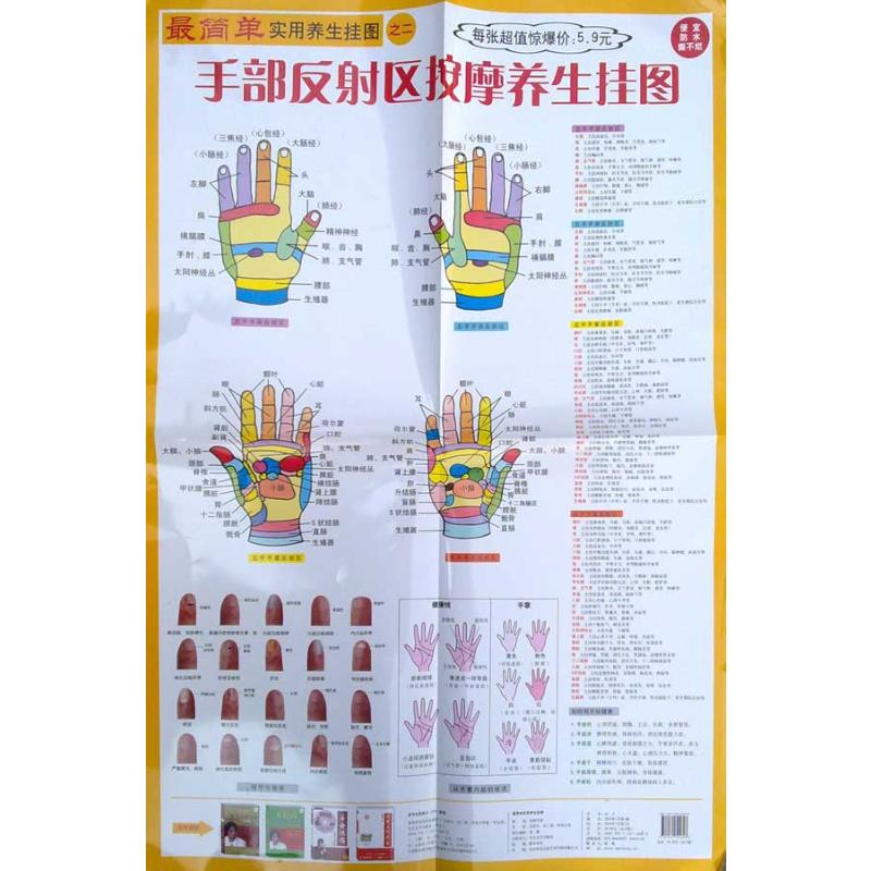 手部反射区按摩挂图