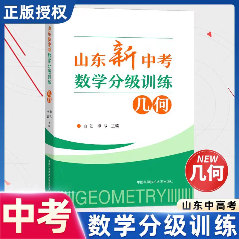 山东新中考数学分级训练:几何