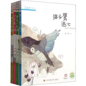 芝麻开门系列(套装共4册)-技术教育社区