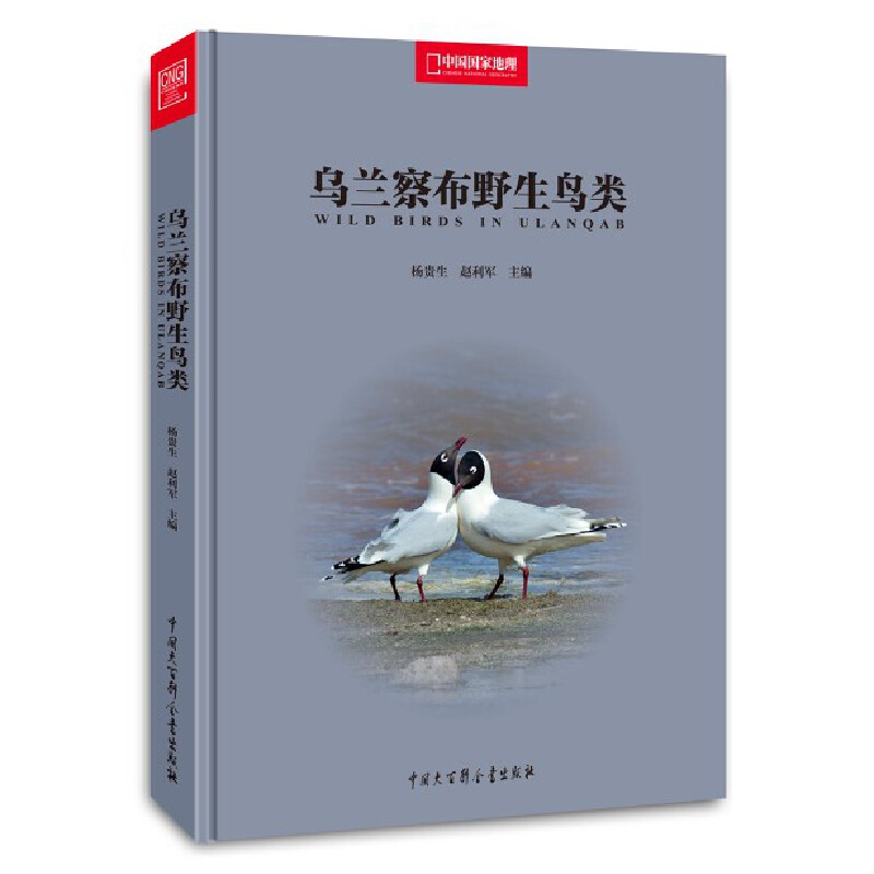 中国国家地理-乌兰察布野生鸟类