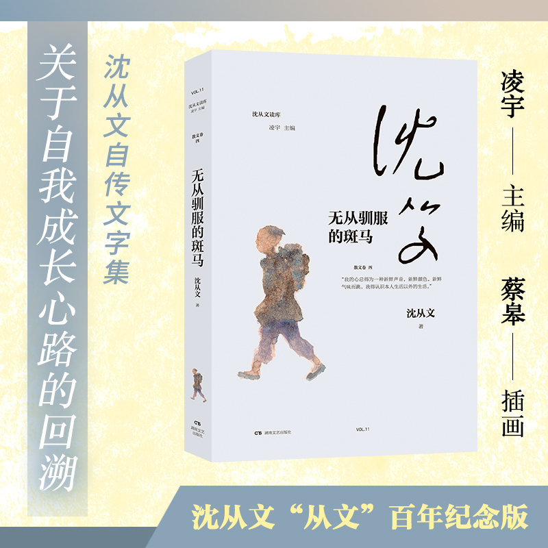 无从驯服的斑马