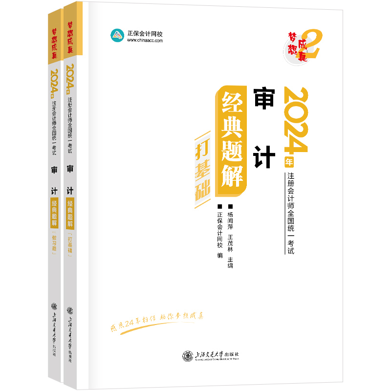 2024审计经典题解(全2册)