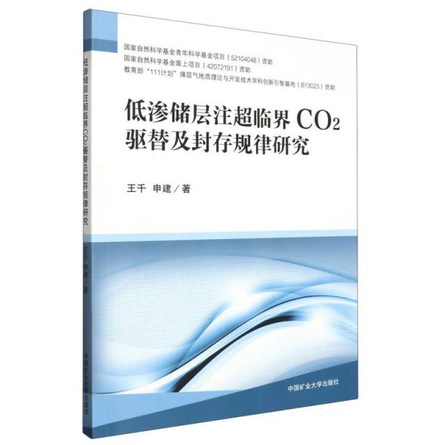 低渗储层注超临界CO2驱替及封存规律研究