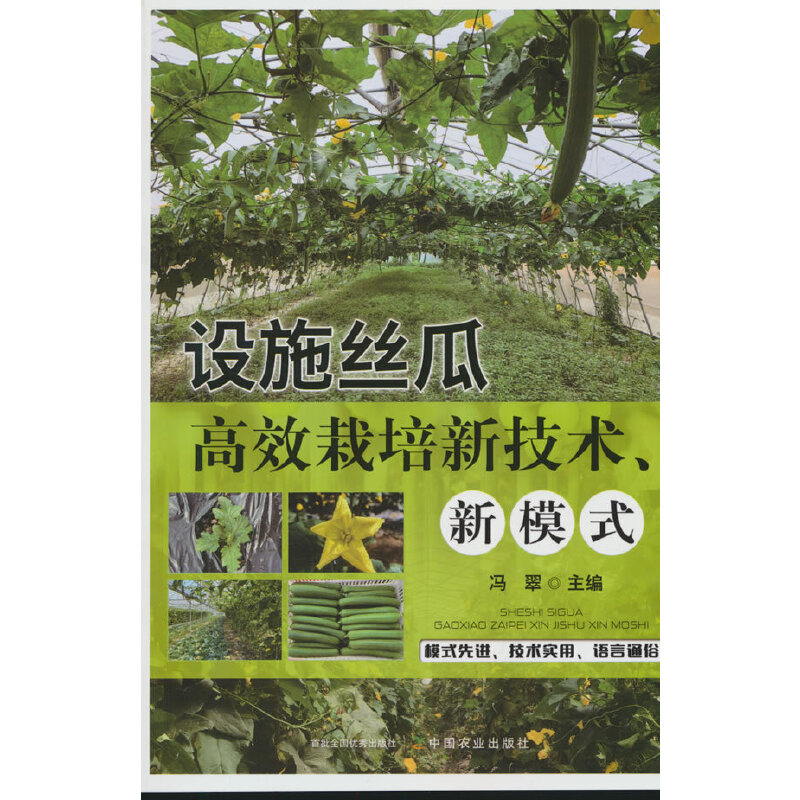 设施丝瓜高效栽培新技术、新模式