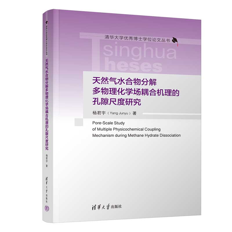 天然气水合物分解多物理化学场耦合机理的孔隙尺度研究