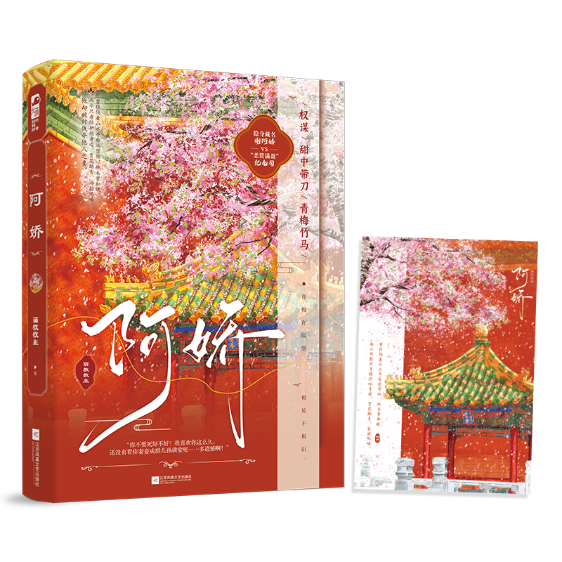 中国当代长篇小说:阿娇