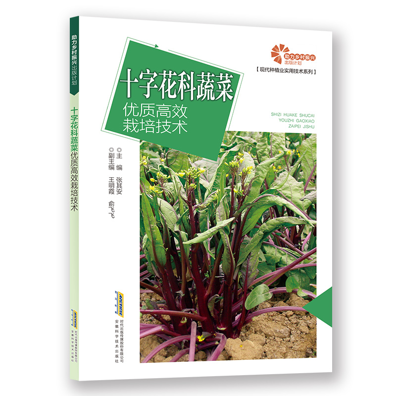 十字花科蔬菜优质高效栽培技术