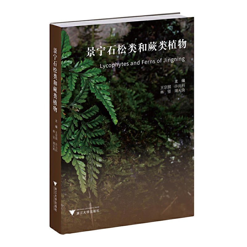 景宁石松类和蕨类植物