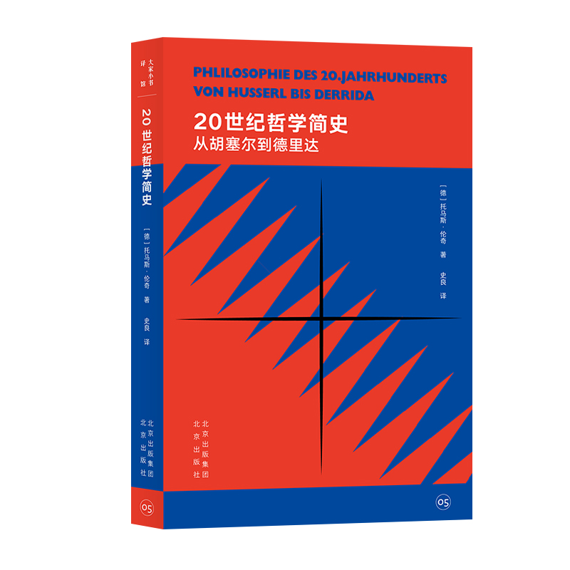 大家小书译馆:20世纪哲学简史--从胡塞尔到德里达