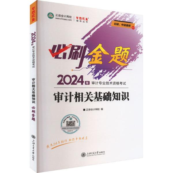 审计相关基础知识必刷金题 2024