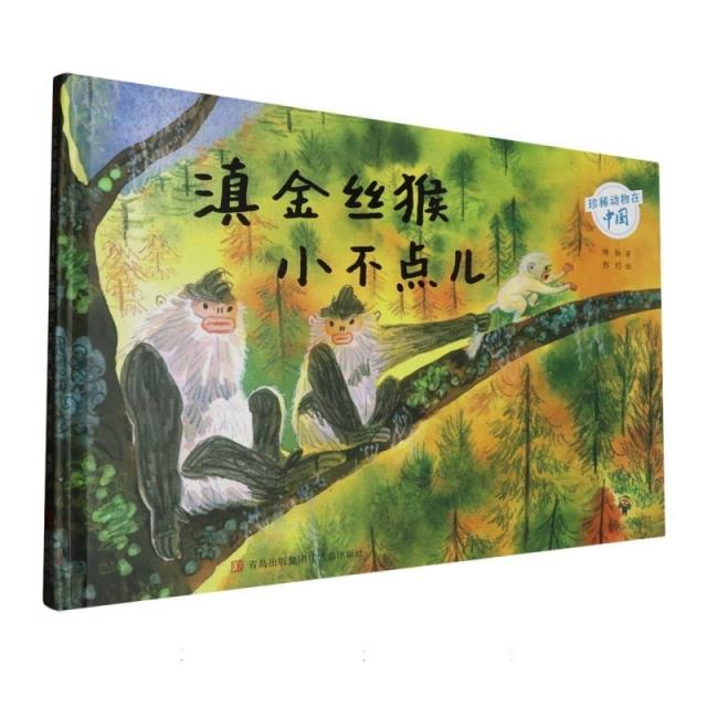 滇金丝猴小不点儿