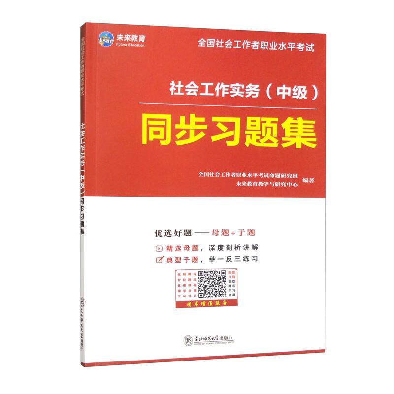 社会工作实务(中级)同步习题集