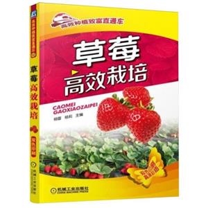 草莓高效栽培(高效种植致富直通车)-技术教育社区