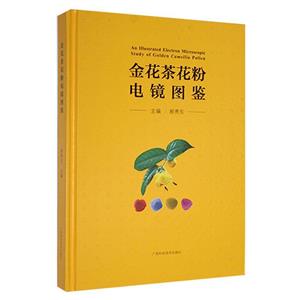 金花茶花粉电镜图鉴-技术教育社区