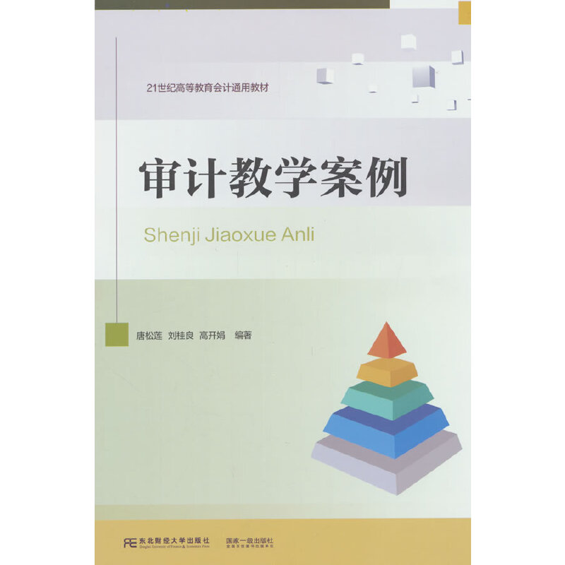 审计教学案例
