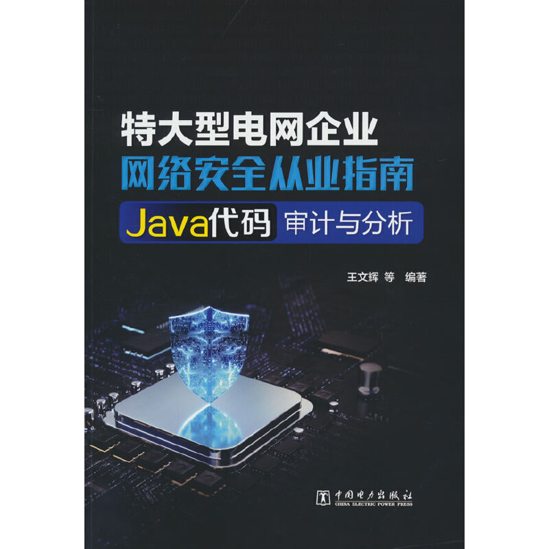 特大型电网企业网络安全从业指南 Java代码审计与分析