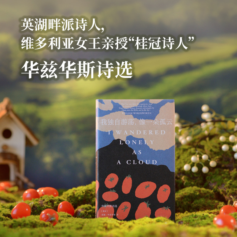 我独自游荡,像一朵孤云