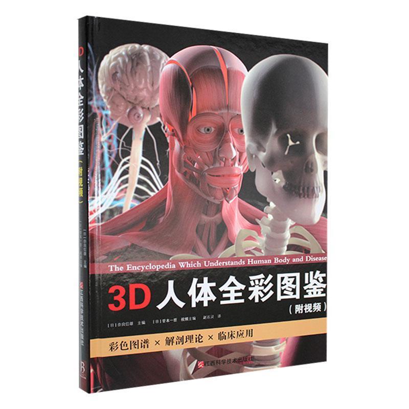 3D人体的全彩图(附视频)