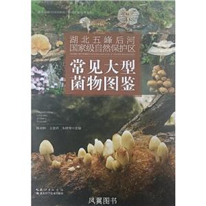 湖北五峰后河国家级自然保护区常见大型菌物图鉴-技术教育社区