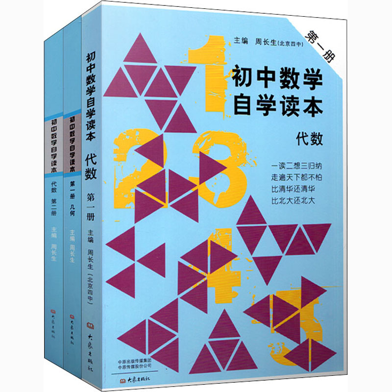 初中数学自学读本 代数第1册 代数第2册 几何第1册(全3册)