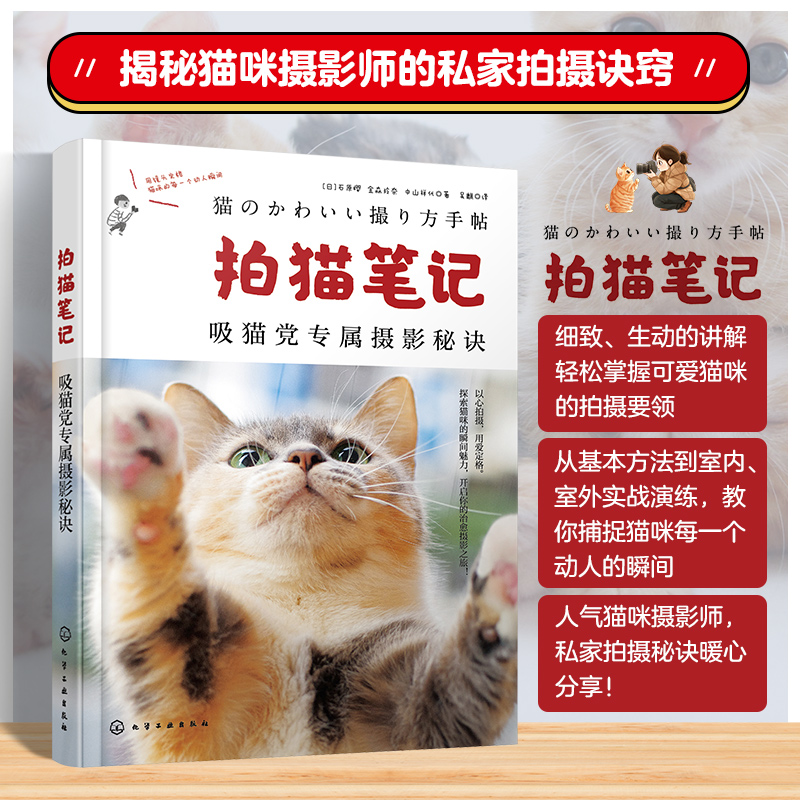 拍猫笔记:吸猫党专属摄影秘诀
