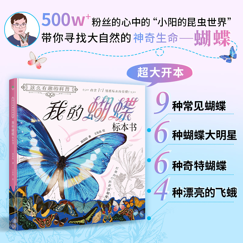 我的蝴蝶标本书