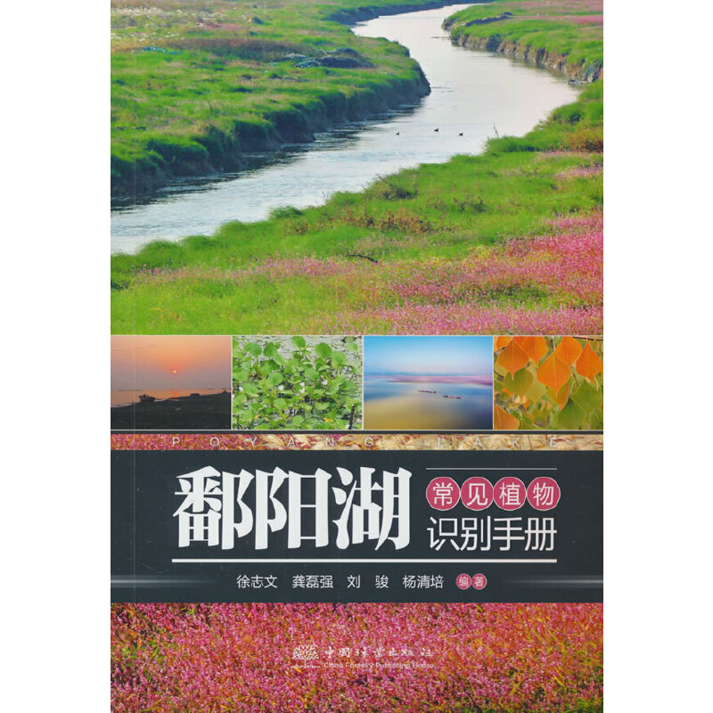 鄱阳湖常见植物识别手册