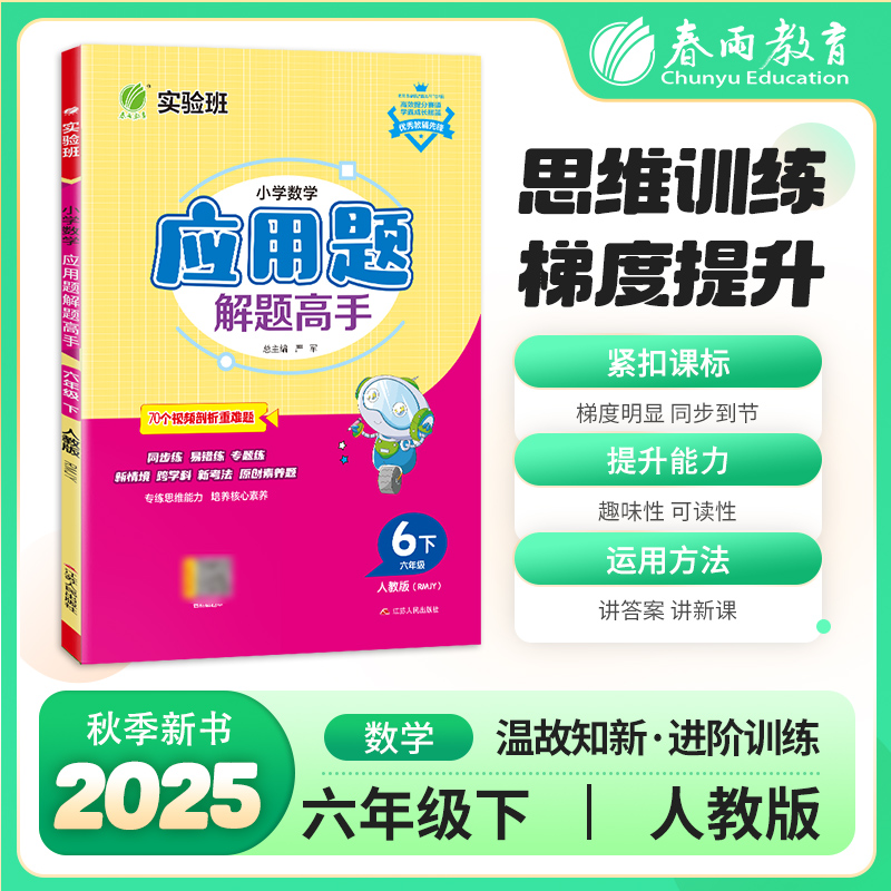 小学数学应用题解题高手 六年级 下 人教版(RMJY)