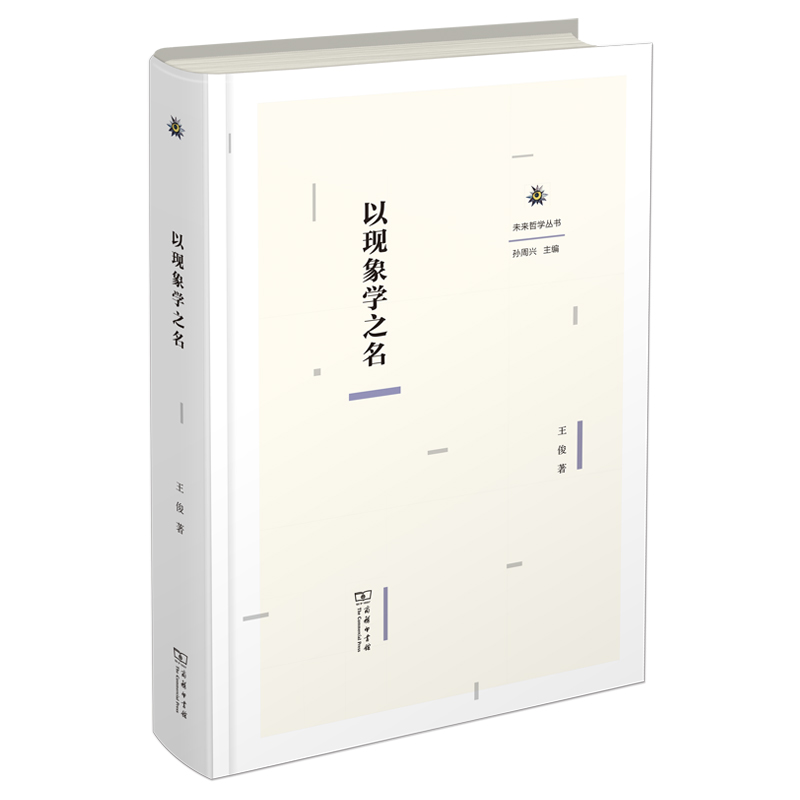 以现象学之名