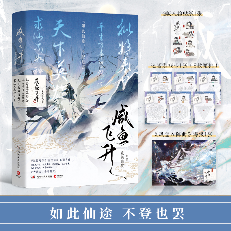 中国当代长篇小说:咸鱼飞升