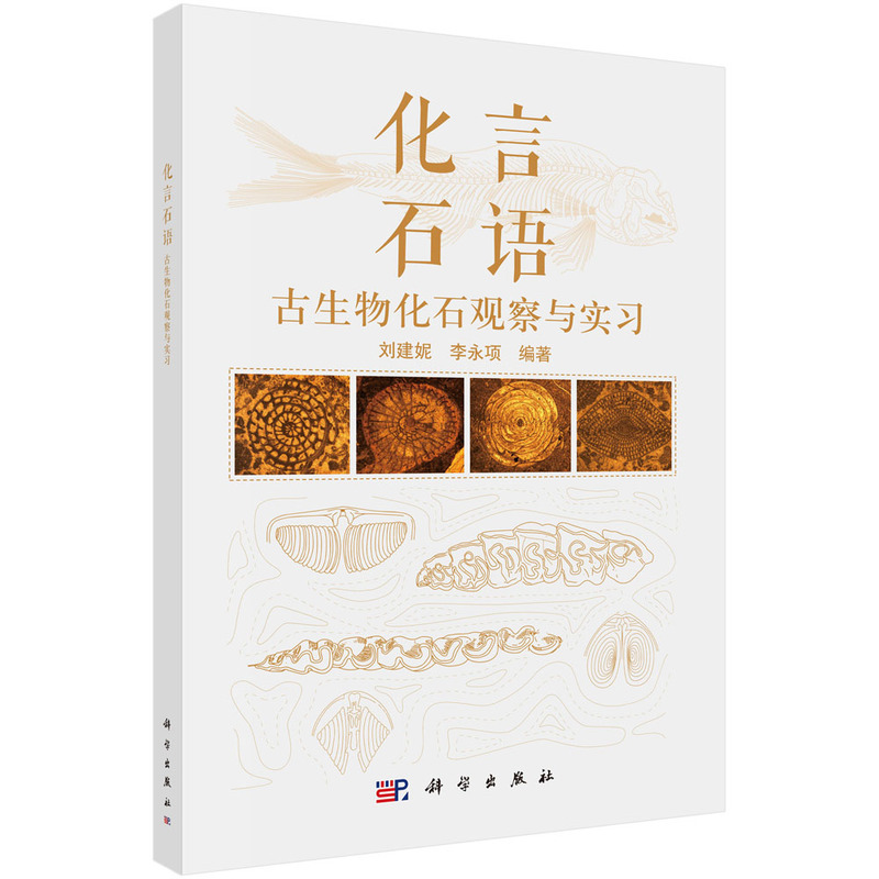 化言石语——古生物化石观察与实习