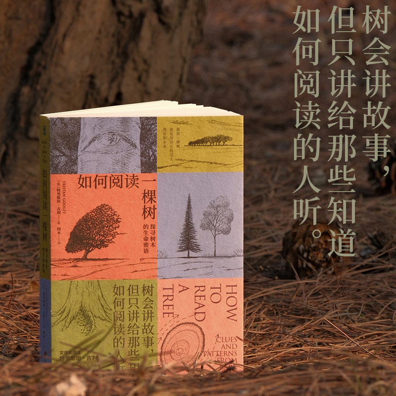 如何阅读一棵树:探寻树木的生命密语树