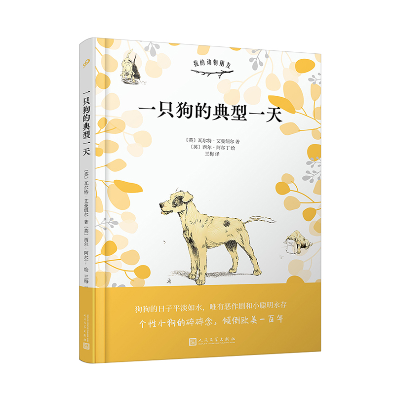 我的动物朋友:一只狗的典型一天