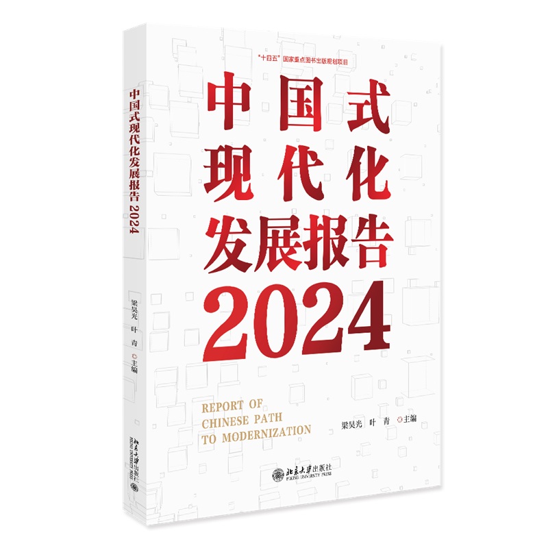 中国式现代化发展报告2024
