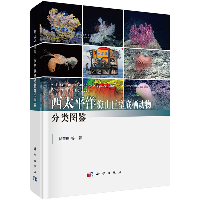 西太平洋海山巨型底栖动物分类图鉴