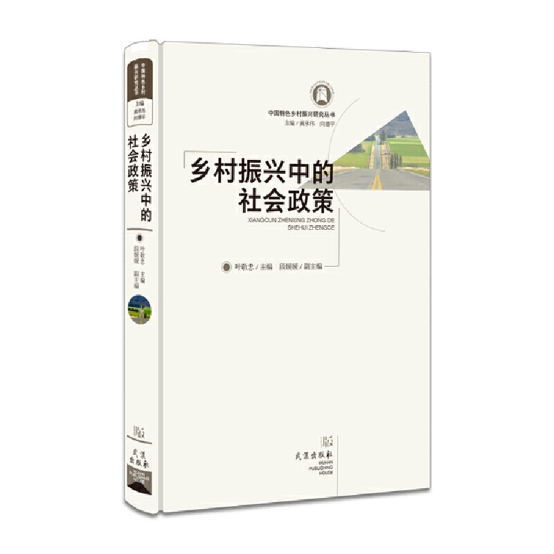乡村振兴中的社会政策